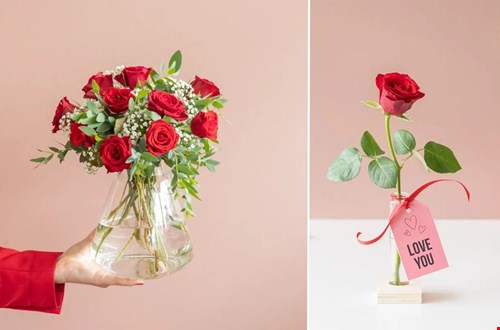 Een grote en kleine klassieker Een grote en kleine klassieker