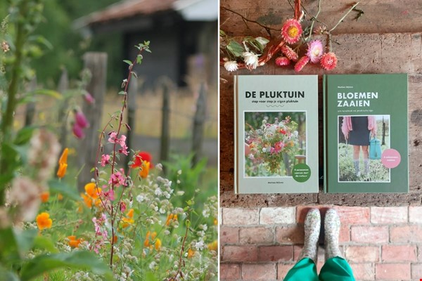 Nu zaaien, straks plezier