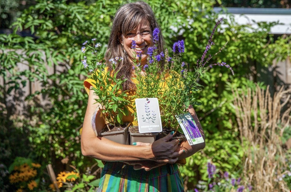 Bloeiende border met de borderpakketten van Sprinklr
