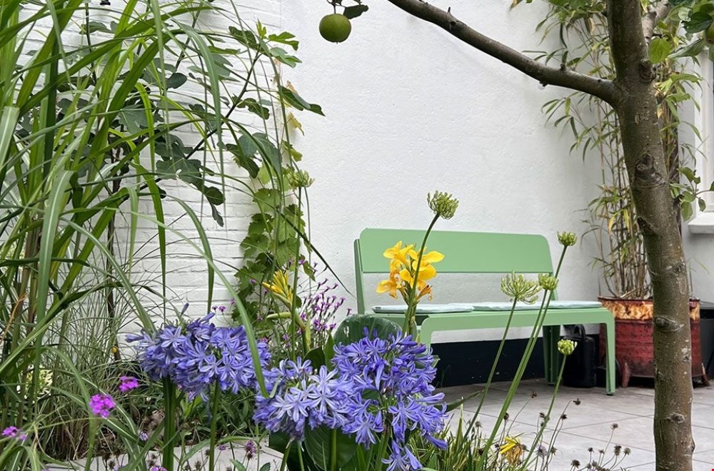 Geen gewiebel met deze Weltevree