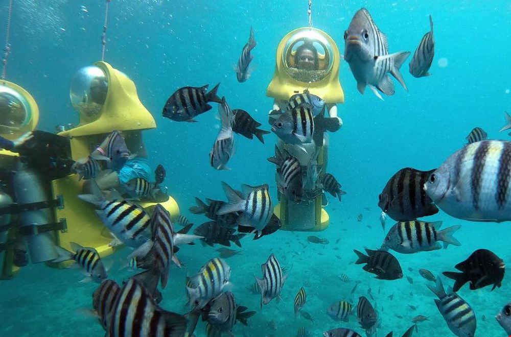 Tof: maak een aquafari onder water! Tof: maak een aquafari onder water!