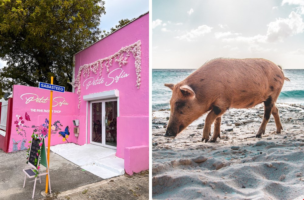 5 originele tips voor... Curaçao 5 originele tips voor... Curaçao