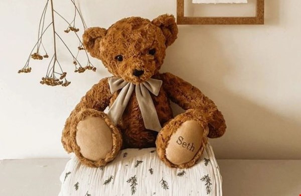 The Birth Bear The Birth Bear