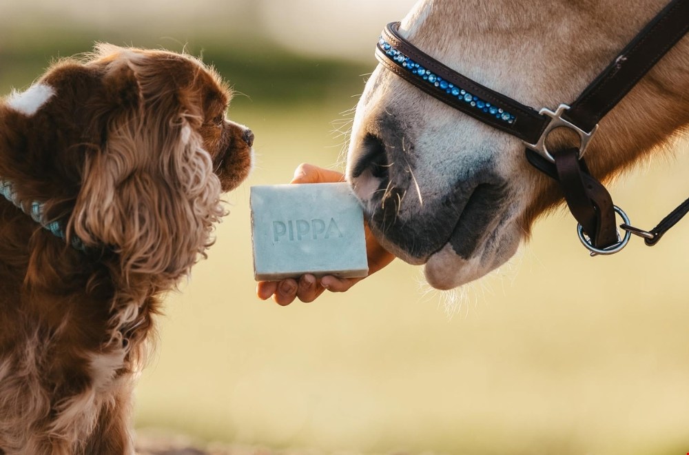pippa-equestrian.com