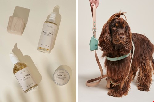 shop-pawness.nl