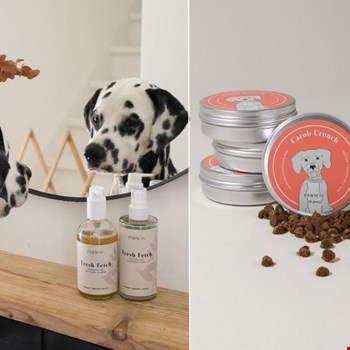 shop-pawness.nl