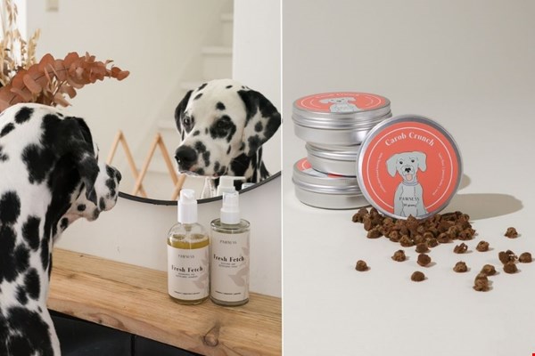 shop-pawness.nl