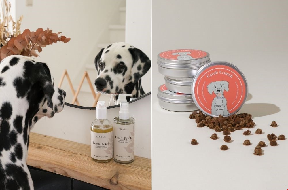 shop-pawness.nl