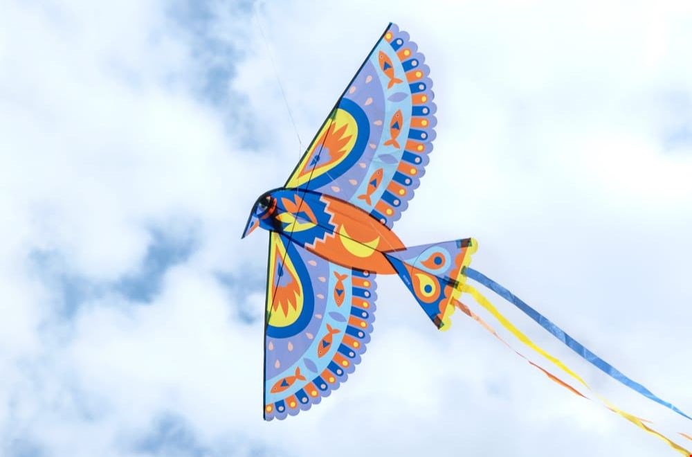 Vogel vlieger Vogel vlieger
