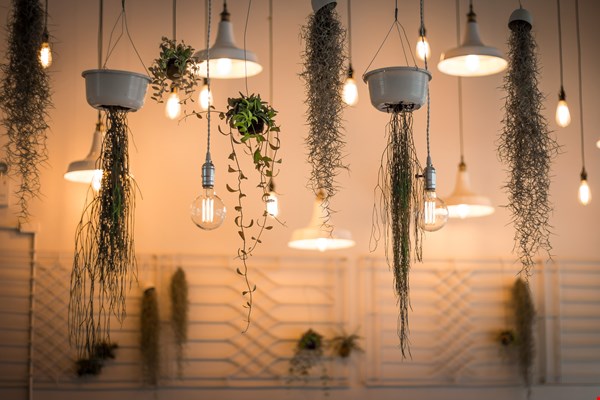 LED verlichting kopen: hier moet je op letten!  LED verlichting kopen: hier moet je op letten!
