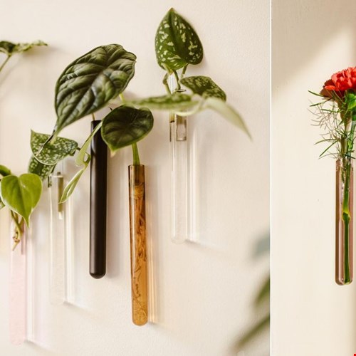 muurbloempjes.com muurbloempjes.com