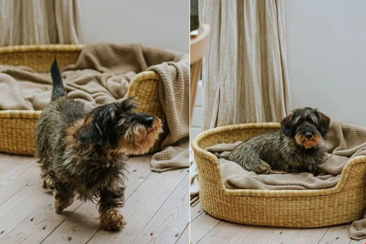 Heerlijk mandje van Dille & Kamille Heerlijk mandje van Dille & Kamille