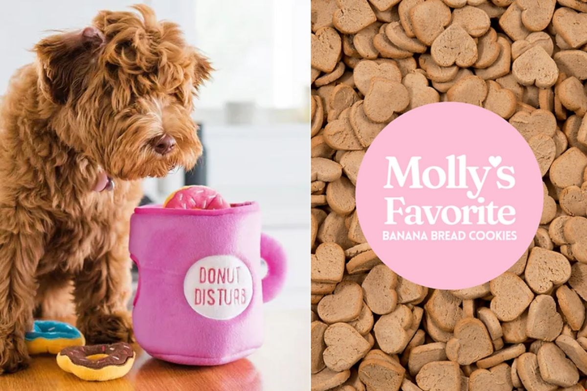 Speeltjes en snacks van Molly & Me Speeltjes en snacks van Molly & Me