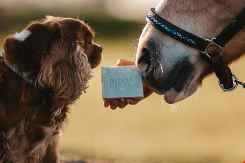 Natuurlijke zeep voor hond en paard van Pippa Equestrian Natuurlijke zeep voor hond en paard van Pippa Equestrian