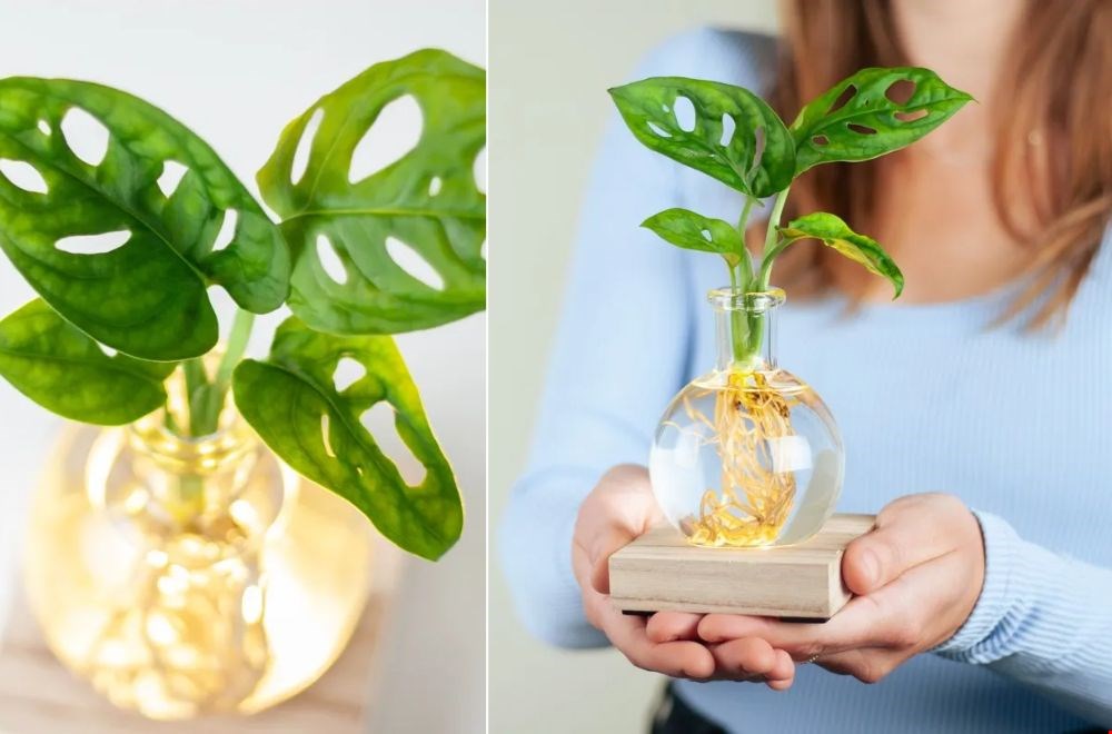 Letterlijk een lichtpuntje. Letterlijk een lichtpuntje.