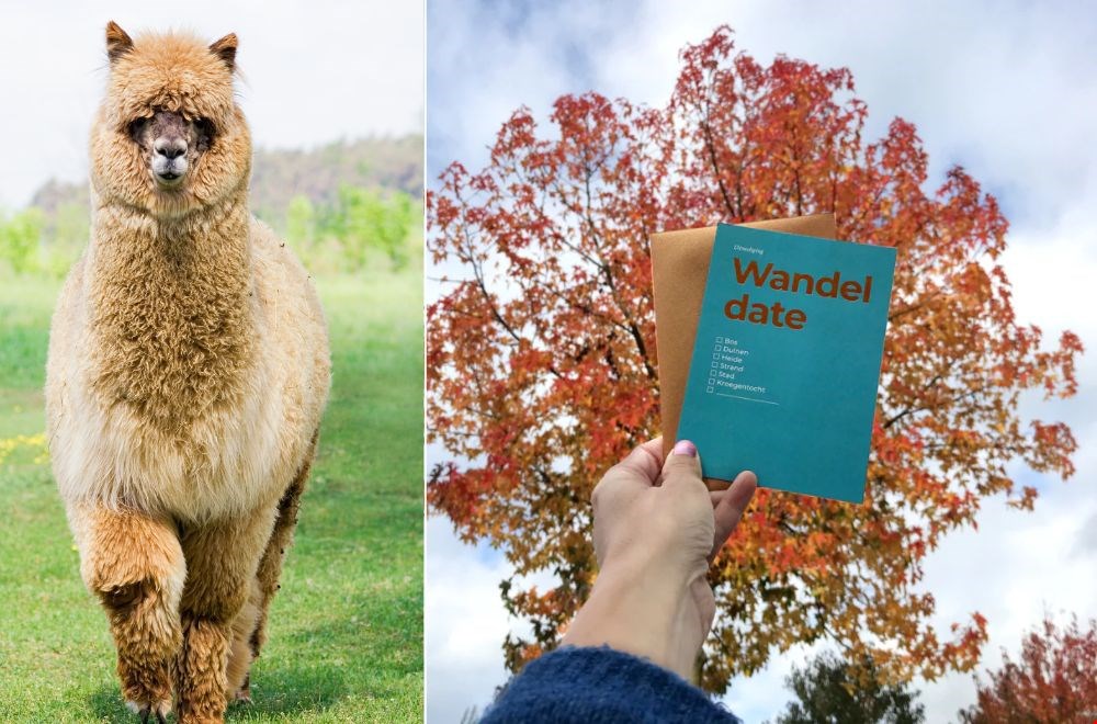 Kijk nou toch hoe schattig, daar word je toch blij van! Kijk nou toch hoe schattig, daar word je toch blij van!