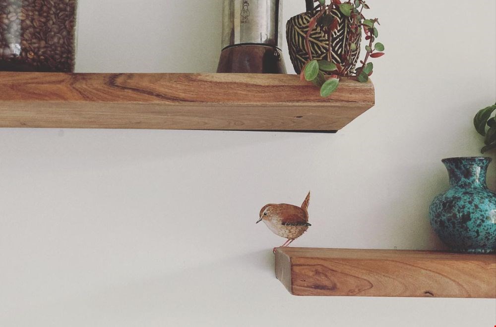 Altijd een vriendje in de buurt. Altijd een vriendje in de buurt.