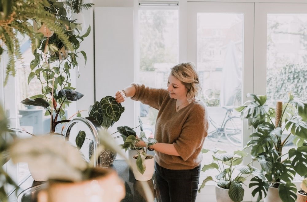 Voor altijd groene vingers Voor altijd groene vingers