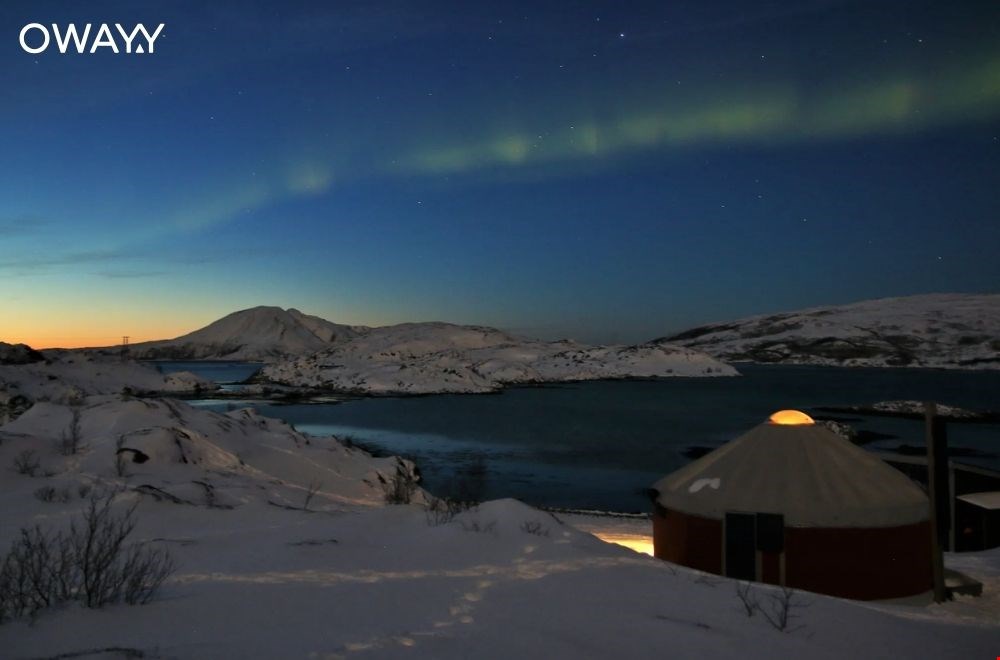 campanyon.com campanyon.com