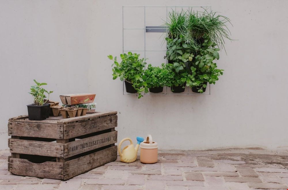 Mooi en fris: een groene wand! Mooi en fris: een groene wand!