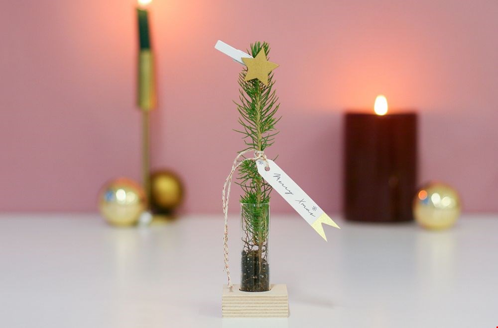 Brievenbus kerstboom van Bloompost Brievenbus kerstboom van Bloompost