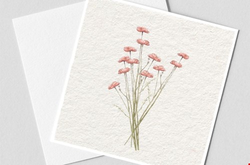Mooi en troostrijk, deze gedroogde papaver Mooi en troostrijk, deze gedroogde papaver