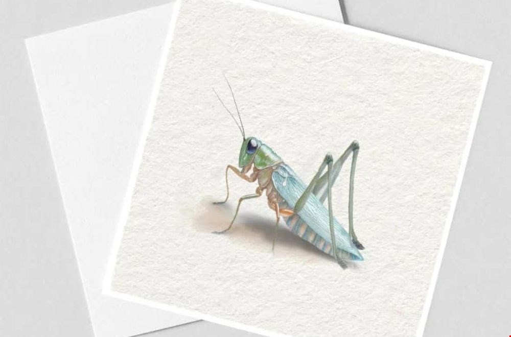 Kaarten met insecten die zo van het papier lijken te springen Kaarten met insecten die zo van het papier lijken te springen