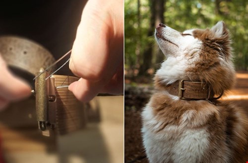 Speciaal voor je beste vriend: handgemaakte halsbanden van Cooper & Quint Speciaal voor je beste vriend: handgemaakte halsbanden van Cooper & Quint