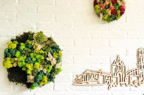 Heel leuk om zelf te maken, zo'n mosschilderij! Heel leuk om zelf te maken, zo'n mosschilderij!