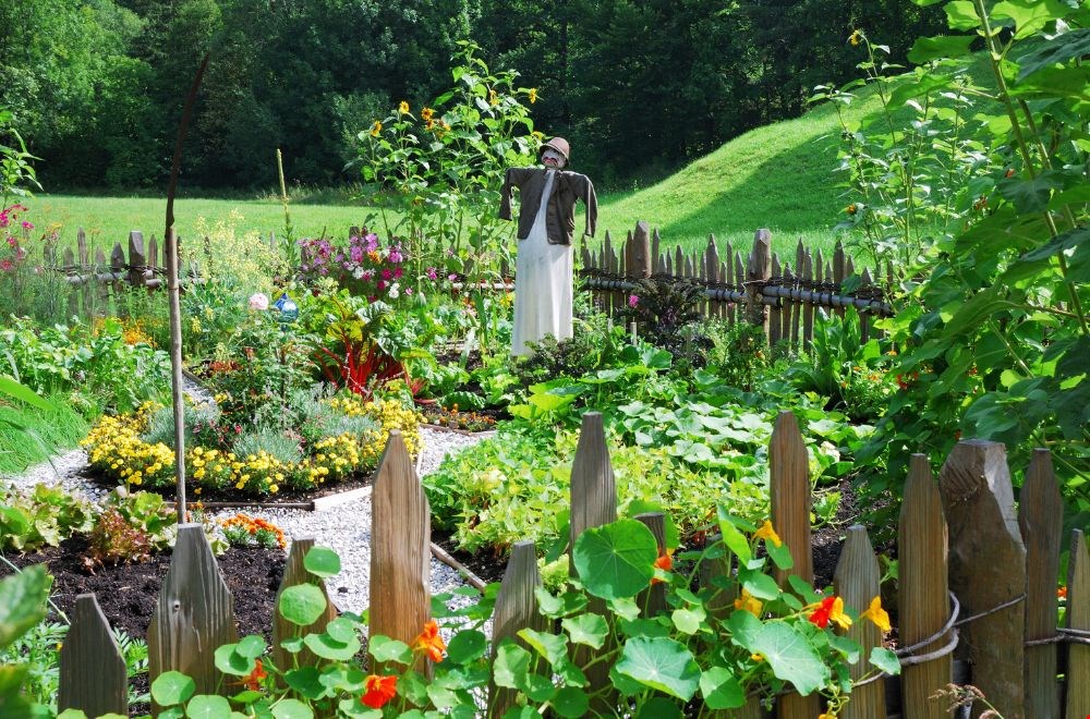 Geweldig toch, een eetbare tuin zoals deze! Geweldig toch, een eetbare tuin zoals deze!