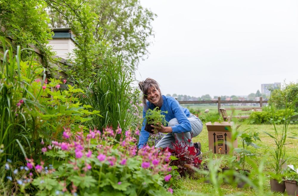 Een tuin vol bloemen met Sprinklr Een tuin vol bloemen met Sprinklr
