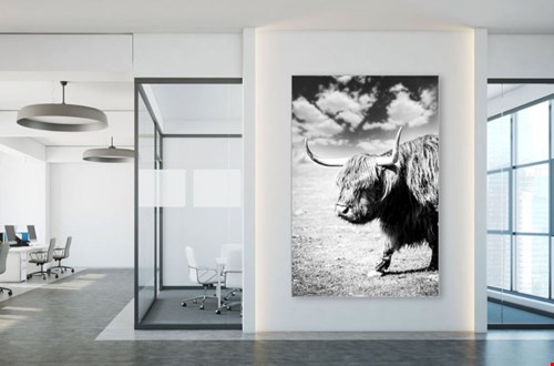 Mooi en nuttig: een akoestisch schilderij  Mooi en nuttig: een akoestisch schilderij