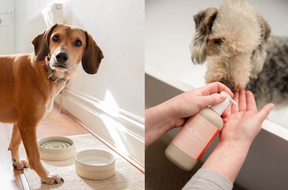 Duurzame hondenbenodigdheden van Pawness Duurzame hondenbenodigdheden van Pawness