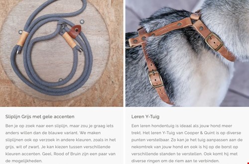 Voorbeelden van gepersonaliseerde honden accessoires Voorbeelden van gepersonaliseerde honden accessoires