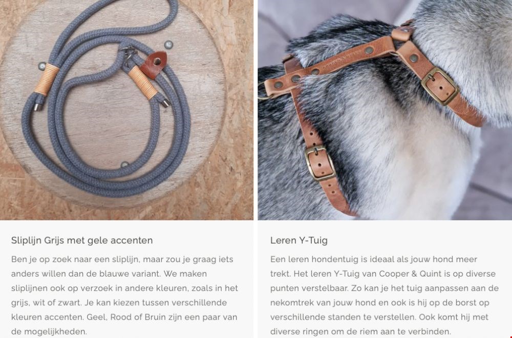 Voorbeelden van gepersonaliseerde honden accessoires Voorbeelden van gepersonaliseerde honden accessoires