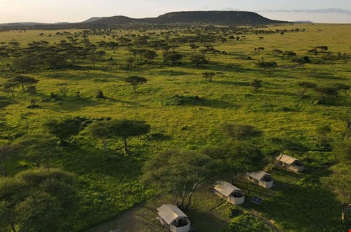 Little Green Camp Little Green Camp