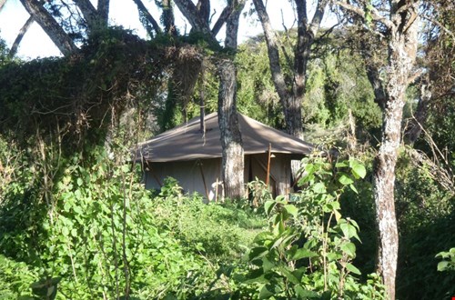 Mysigio Camp Mysigio Camp