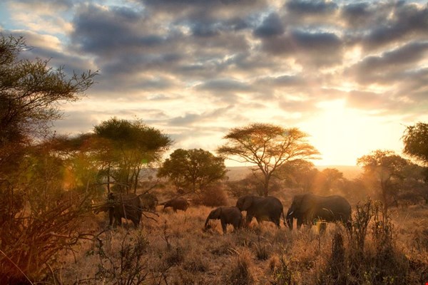 Explore Tanzania