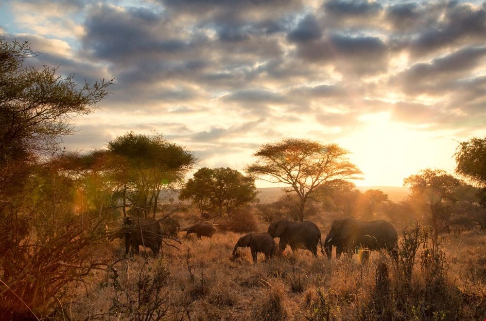 Explore Tanzania Explore Tanzania