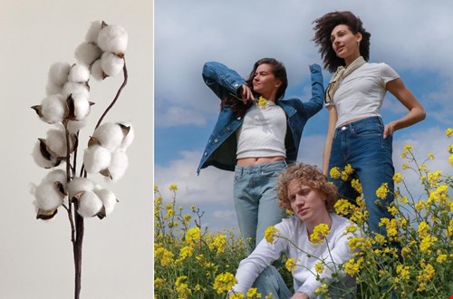 Alle MUD jean worden gemaakt van bio katoen of gerecyclede materialen