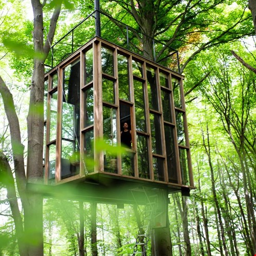 Ici, Ardennen Ici, Ardennen