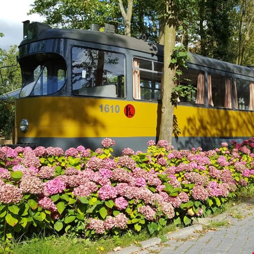 Tram, Wieringerwerf Tram, Wieringerwerf