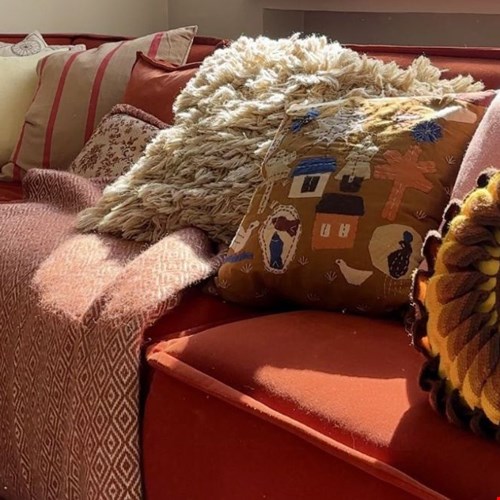 Volop kleur bij Huiszwaluw Volop kleur bij Huiszwaluw