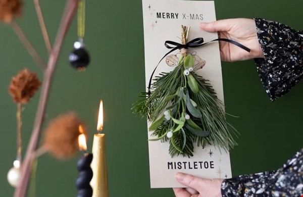 Mistletoe