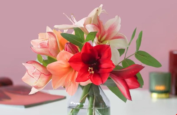 WIN één van de vier kerstboeketten Amaryllis Mix van BloomPost!