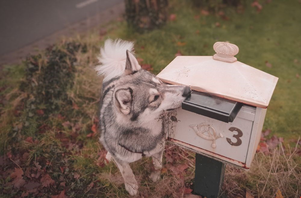 Cooper & Quint Cooper & Quint