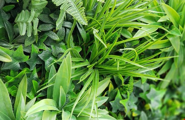 Hoe kunsthagen perfect passen binnen de interieurtrends van 2025 Hoe kunsthagen perfect passen binnen de interieurtrends van 2025