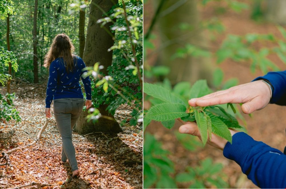 Zo heerlijk: op je blote voeten door het bos en gewoon 'zijn' Zo heerlijk: op je blote voeten door het bos en gewoon 'zijn'