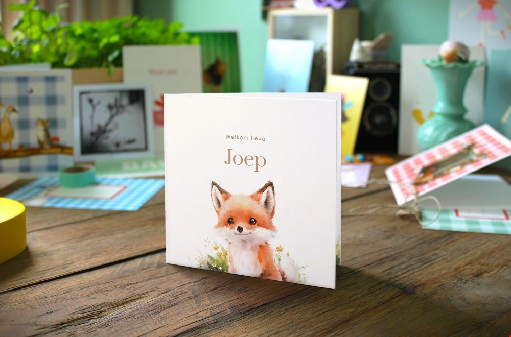 Ook heel leuk: de geboortekaartjes van Studio Draak Ook heel leuk: de geboortekaartjes van Studio Draak