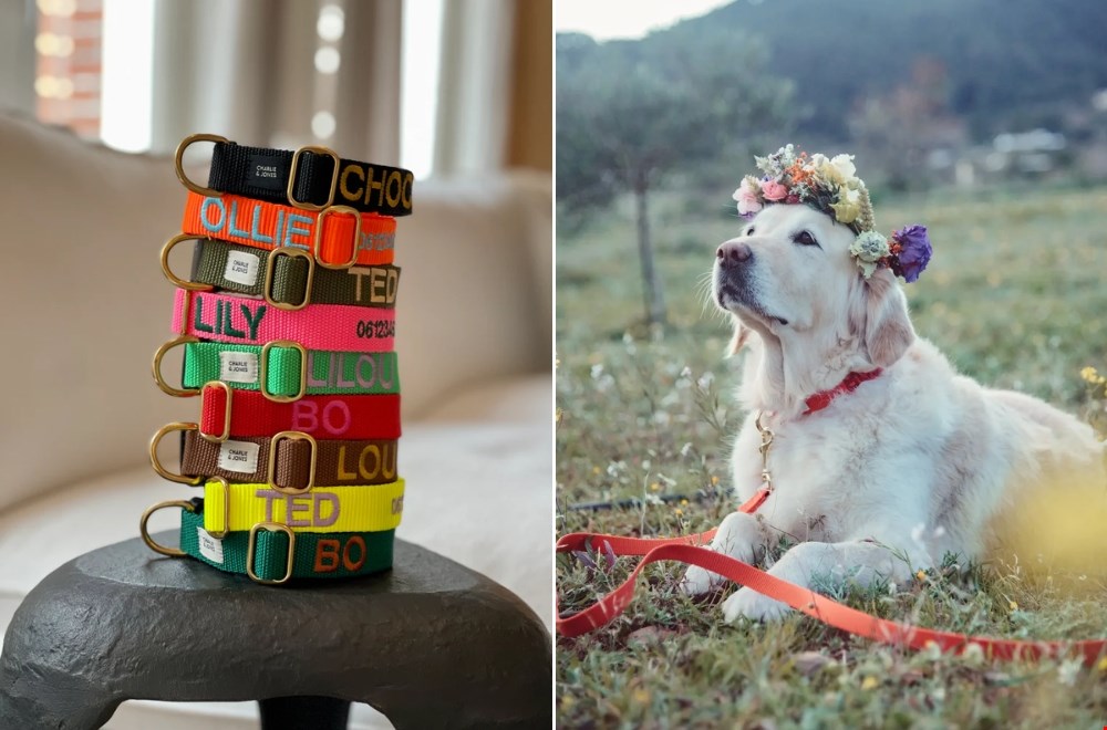 Charlieandjones.com Charlieandjones.com